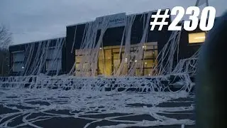 #230