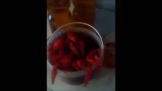 Раки и пиво - лучшее спасение от жары на юге!