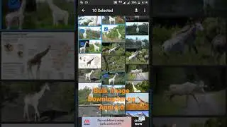 Pic Finder | Bulk picture downloader on android|kkspandi ceo