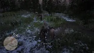 Red Dead Redemption 2 Face Removal