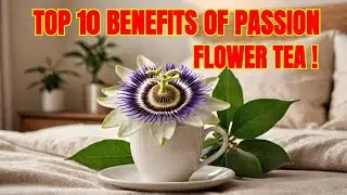Passion Flower Tea: The Best Herbal Sleep Remedy?