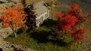 Blender 2.79 nature - Graswald addon