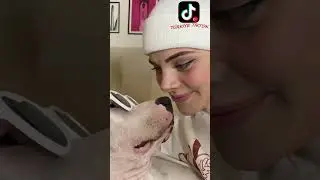 ASLI GÜLER KÖPEĞİYLE VİDEOLARI DERLEME / ASLI GÜLER KÖPEĞİYLE TATLI VİDEOLAR 