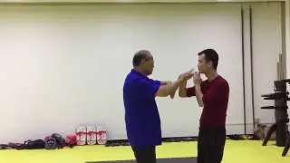 顺德北窖，佛山詠春陳煜釗叶系黐手教学