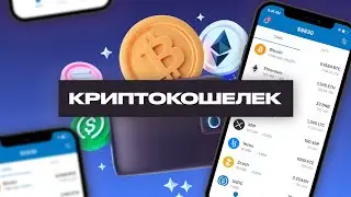 Что такое криптокошелек и для чего он нужен. Простым языком для новичков в крипте
