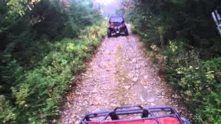Adairs 2012