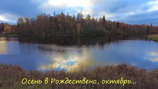Осень в Рождествено, октябрь...