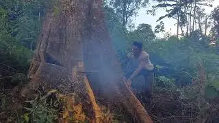 KAYU MANGGERIS // TERBESI  DI'PEDALAMAN HUTAN SUMATERA_GAK TANGGUNG KERAS NYA