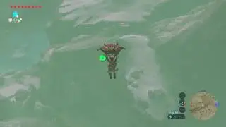 The Legend of Zelda: BotW - The Bird in the Mountains