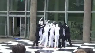 Шахматы