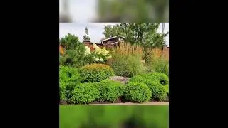 Озеленение, фото с объектов