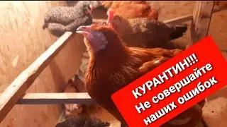 Теряем поголовье.