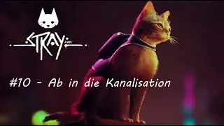 Stray | Part 10 - Ab in die Kanalisation