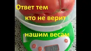Контрольное взвешивание. Ответ тем кто не верит нашим весам!