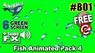 Fish Animated Pack 4 Green Screen 3D
