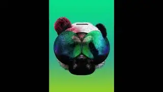 collage animations