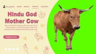 Green screen caw green screen video stock video footage clip_4K and HD video clip