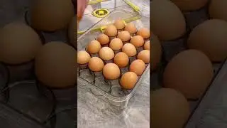 Smart homes. smart gadget. Smart kitchen. #short #shorts