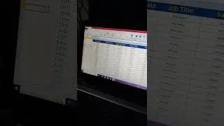 Excel Formate Painter use