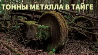 НАШЛИ ТОННЫ МЕТАЛЛОЛОМА В СУРОВОЙ ТАЙГЕ / МЕТАЛЛОИСКАТЕЛЬ В ДЕЛЕ / ВЫВОЗИМ ТРАКИ ИЗ ЛЕСА #металл