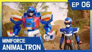[Miniforce Animaltron] 🦁Ep.6 Mysterious Dust Disturbance!