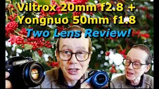 Two Lenses You Should Buy TODAY!
