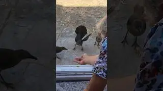 When you really want that treat 😃