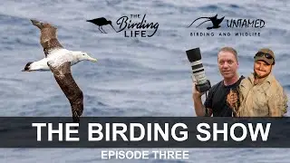 The Birding Show Ep 3 - Flock to Marion Island Cruise in 2025