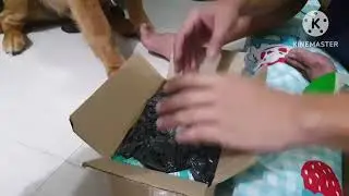 Unboxing the mystery box
