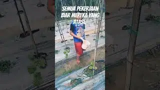 KENAPA DIA MAU BEGINI