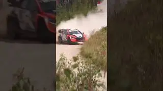 WRC Rally Latvia 2024 Tänak Attack #Rally1 #WRC #RallyLatvia #Rally #Hyundai #RallyCar #Shorts