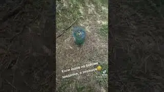 Водный аппарат народный)