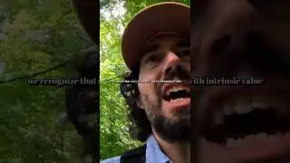 The kids don't have to stress - I Have a Dream by Patrick Dugan