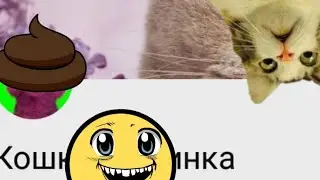 Говноканалы #8 кошка хуинка