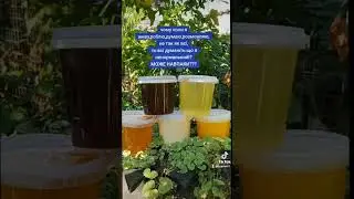 чому ти не такій як усі