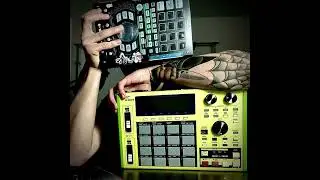 SEGA - PRIVET