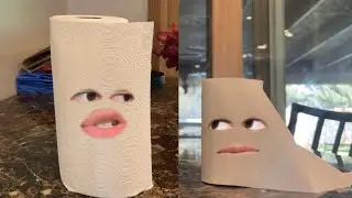 Napkin Vs Toilet Paper
