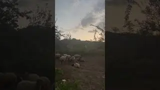 свежий воздух в горах в сто раз лучше сигарет #nature