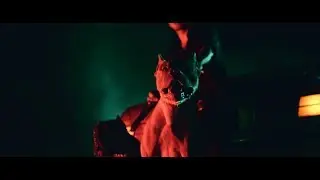 Xvale / ხვალე - თუ ისევ გაყიდვაშია (Alma records)