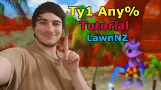 Ty1 Any% Tutorial Lawn 2022