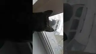 Даааа!