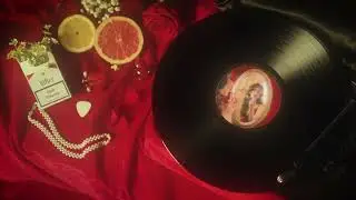 Natacha Oliveira - Bitter (Official Visualizer)