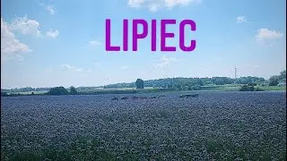 Wodnik LIPIEC 🍀zmiana planów