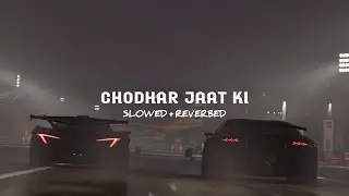 Chodhar Jaat Ki (Slowed + Reverbed) || 𝗦𝗻𝗲𝗵𝗮𝗪𝗼𝗼𝗱 ☊