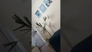 #music