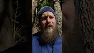 Training Day 18 - Slowly building endurance #appalachiantrail #training #thruhike #trailrunning