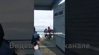 Ходячие мертвецы в ГТА5 МОДЫ. GTA5 MODS 