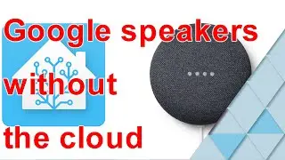 how to use Google Mini with or without the cloud on Home Assistant