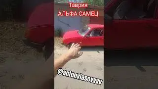 ТАВРИЯ просто АЛЬФА САМЕЦ.  Никто не ожидал такого 😳😮😯 Привет из 90-х