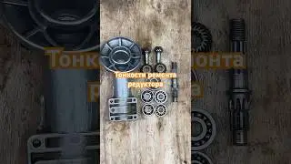 Stihl Brushcutter Gearbox Repair 